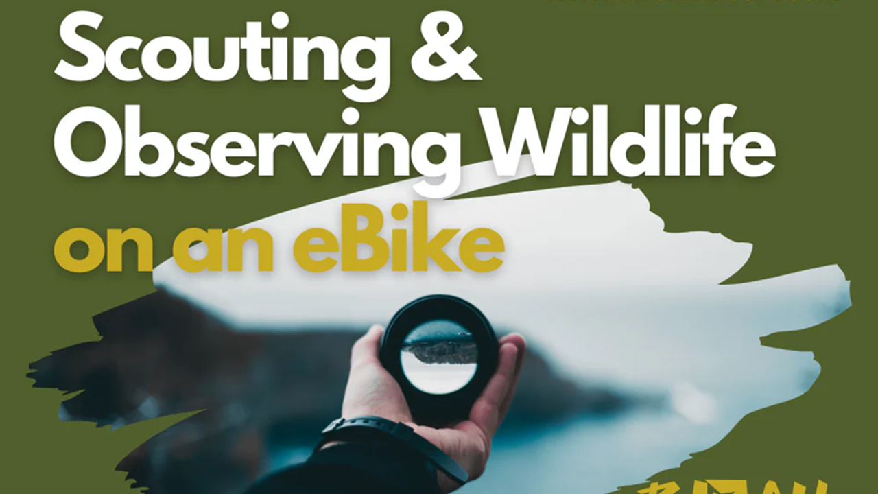 Top Wildlife Observation Tips for Your Cycling and Hunting Trips