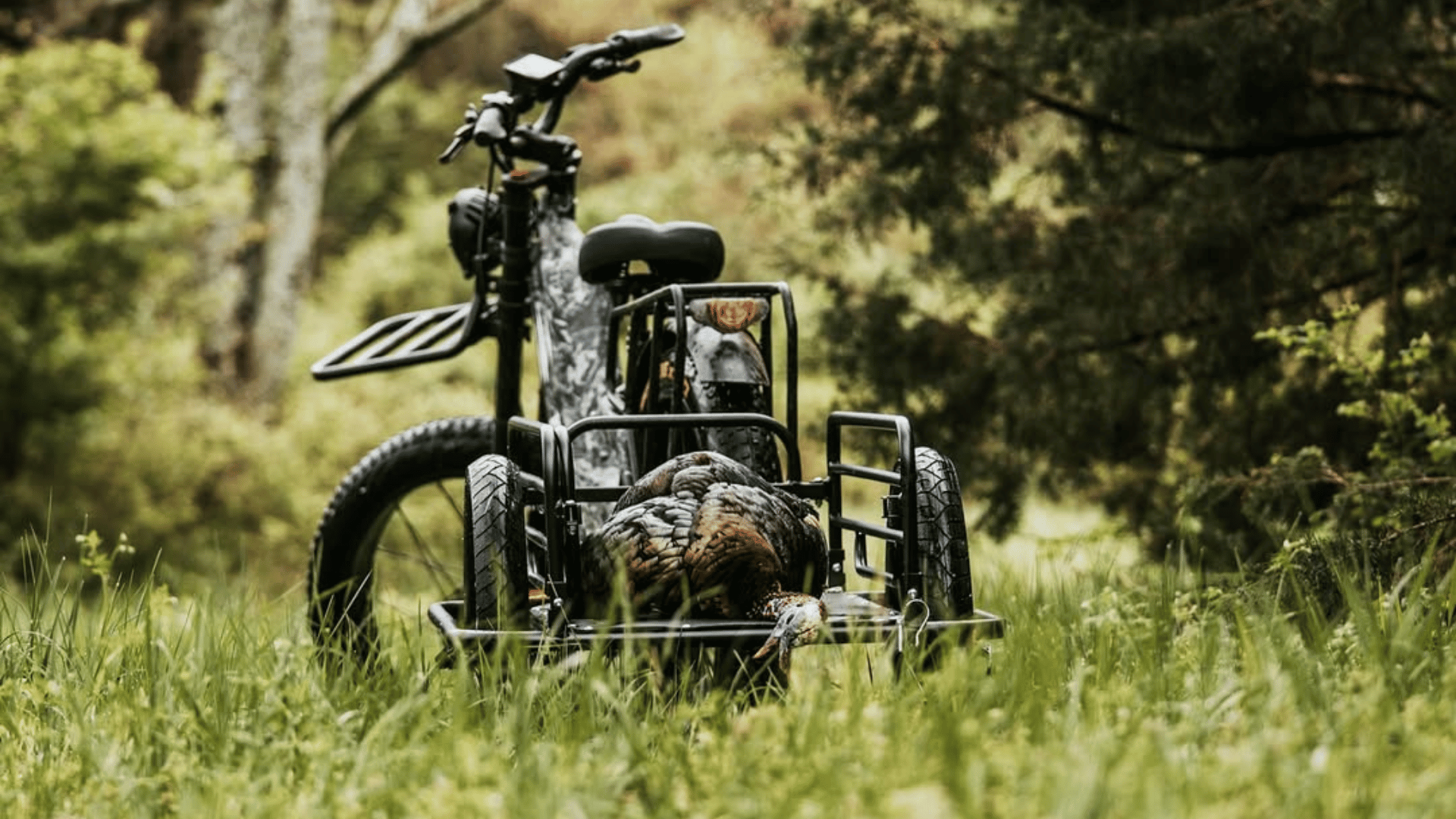birch grolar with turkey in trailer in grass field