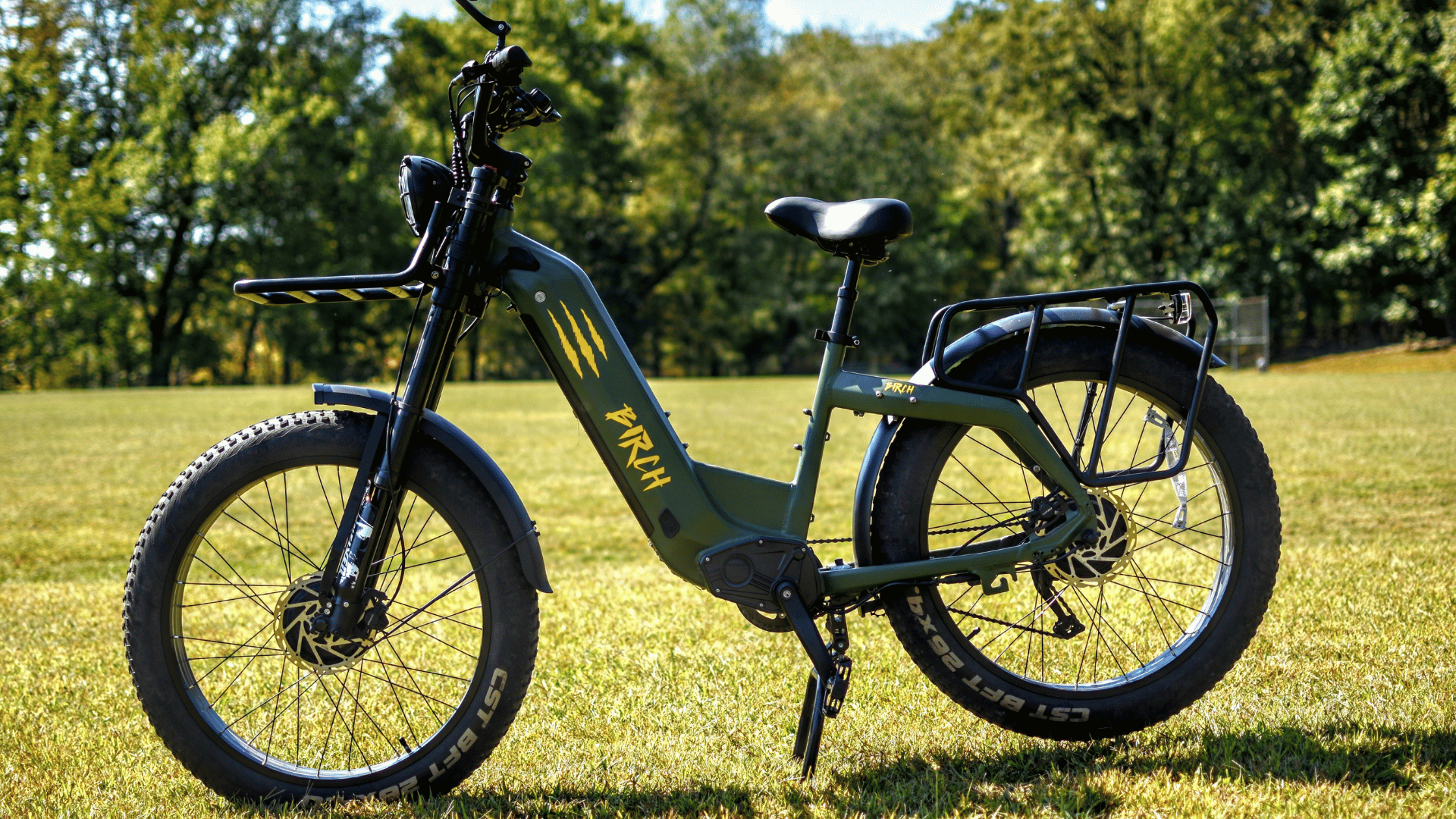 green birch ebike in a grass field