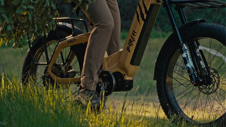 User Stories: How My Birch eBike Transformed My Michigan Hunt