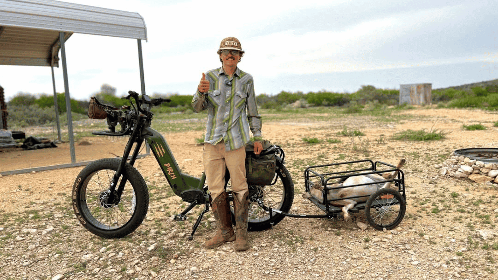 What to Expect from Your Birch Grolar: Real Owner Reviews