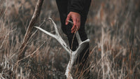 2024–2025 Hunting Season in Montana