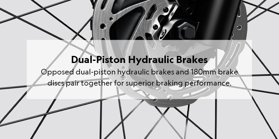 Dual piston hydraulic brakes