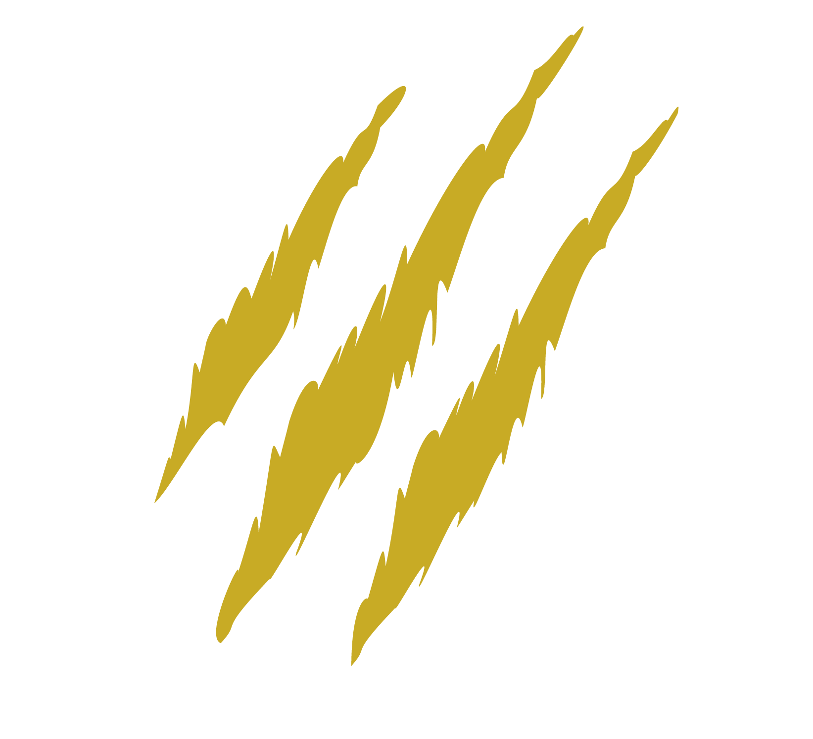 Birch Logo