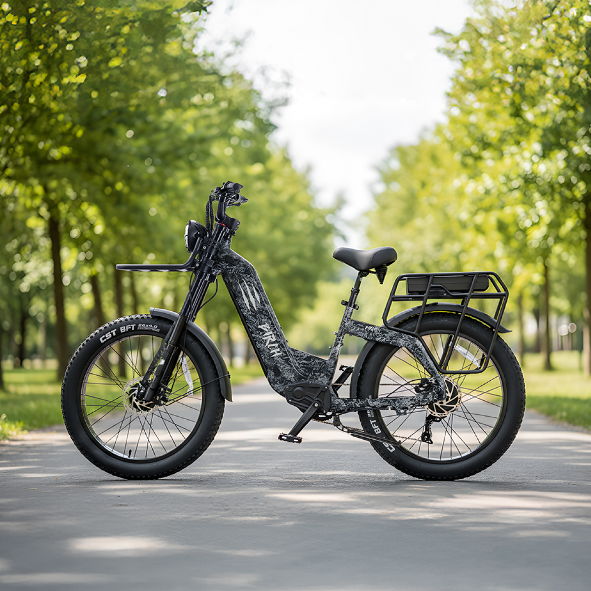 Birch  Hunting eBike with 48V 17Ah Rear Rack eBike Battery Pack